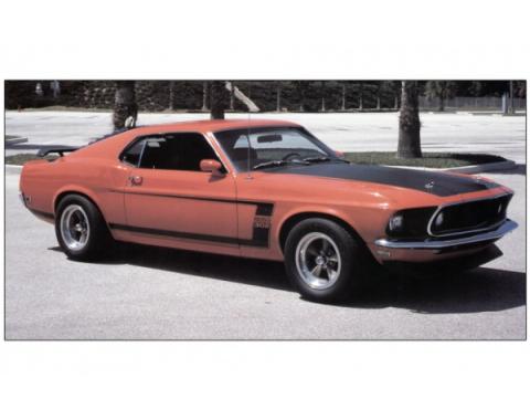 Ford Mustang Exterior Stripe Kit - Boss 302 - Black