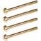 Camaro Carburetor Float Bowl Screw Set, 2-1/2, Holley, 1967-1969