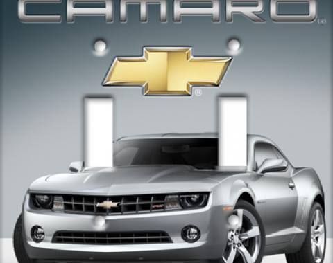 Silver Camaro Switchplate, Double