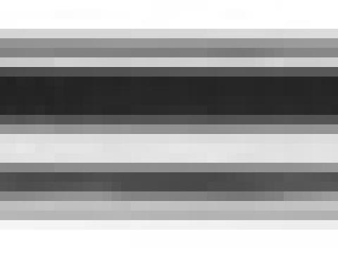 Dynacorn Front Door Upper Moulding RH 73-80 M1130