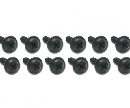 Corvette Grille Mount Screw Set, 12 Piece, 1968-1969