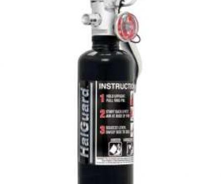 Fire Extinguisher, H3R Halguard, Black, 1 Lb.