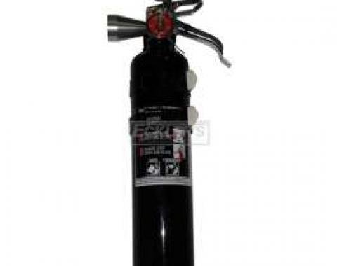 Fire Extinguisher, H3R Halguard, Black, 2.5 Lb.