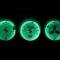 Whitegauges 1978-1990 Dodge Omni White Face Gauges 7890DO-1618