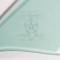 AMD Vent Glass, Green Tint, LH, 68-70 B-Body 560-1468-TL
