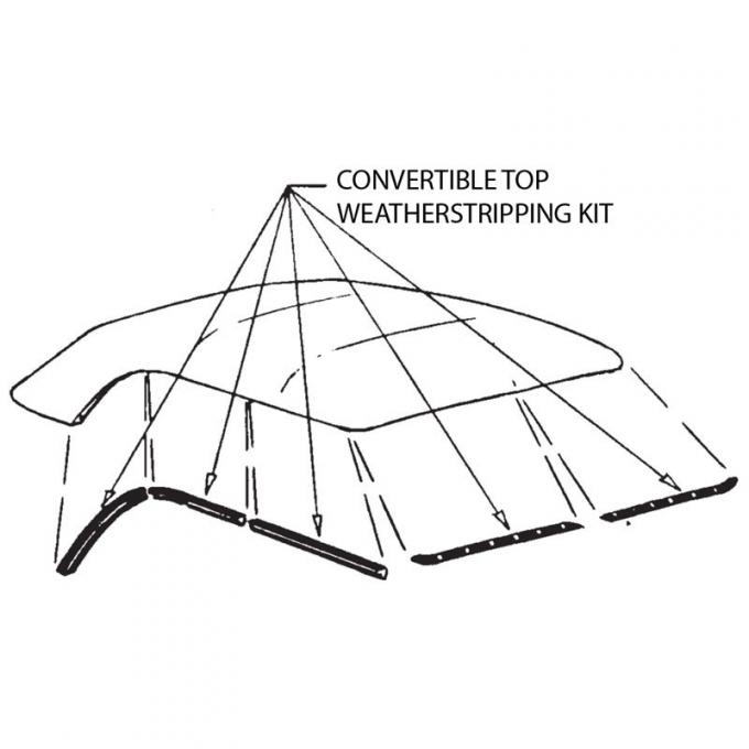 Dennis Carpenter Weather Stripping Kit - Convertible Top - 1951 Ford Car   1A-6451562-KIT