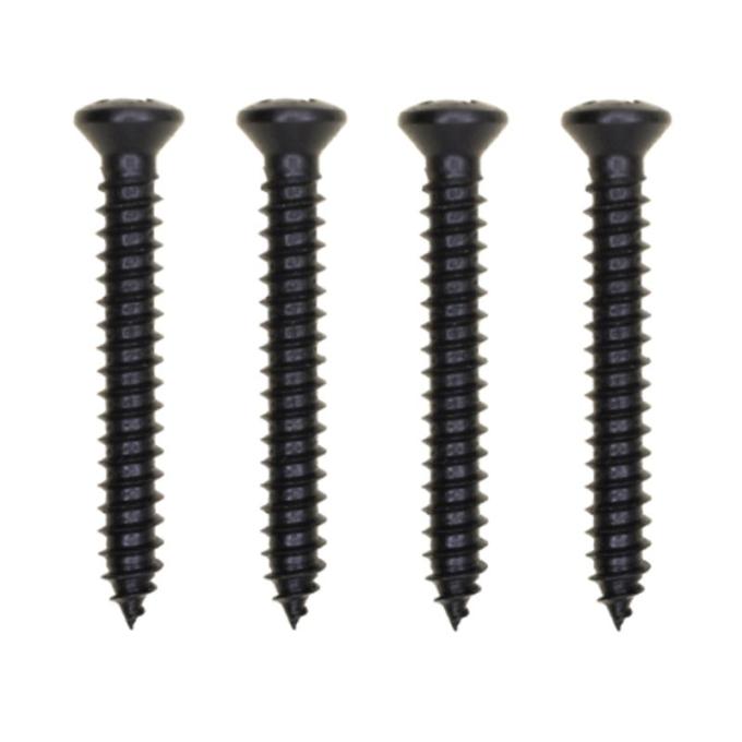 Redline Restomotive® 1969-1970 Ford Mustang Kick Panel Mounting Screw Set for Dark Color Interiors