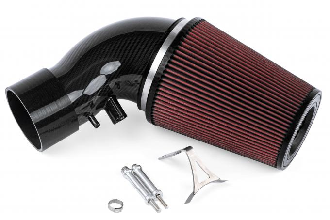 APR 2017-2019 Audi RS3 Carbon Fiber Intake Filter System, 2.5 TFSI MK3 TT RS/RS3 CI100038-A