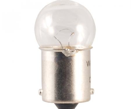 Dennis Carpenter Bulb - #81 - 6 Volt - 1933-34 Ford Car   40-13730-81