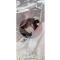 AMD Trunk Hinge Bracket, RH, 70-74 Plymouth Barracuda 764-1570-1R