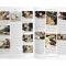 How To Build High-performance Chevy LS1 / LS6 Engines Book