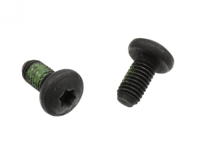84-96 Rear Roof Panel Locator Screws - Set of 2