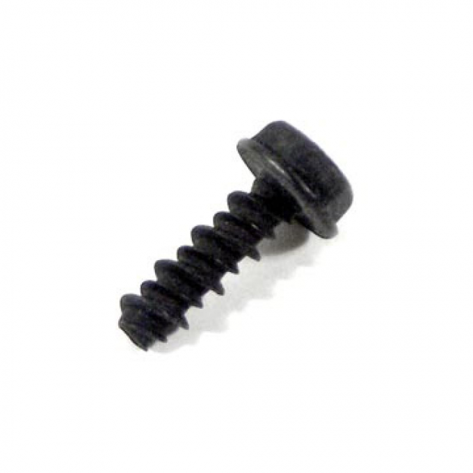 Corvette Distributor Coil Cover Screw, 1975-1991