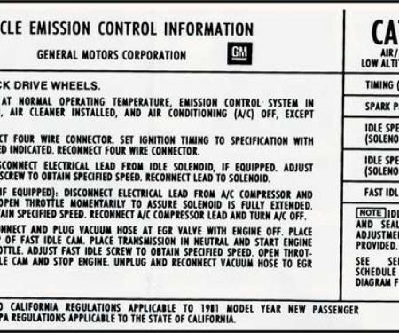 1981 Camaro Z28 350CI with Manual Transmission Emissions Decal (Code "ALX")