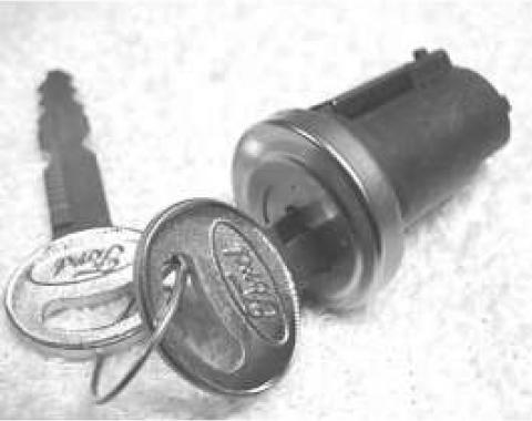Tailgate/Trunk Lock Cylinder - Includes 2 Keys