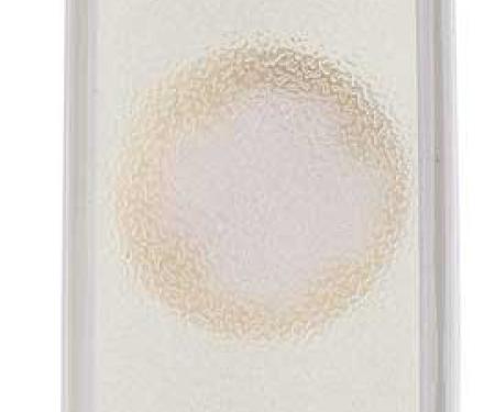 OER 1985-92 Camaro, IROC Z, Z28, RS, Rear License Lamp Lens and Housing Assembly, RH Passenger Side 920016