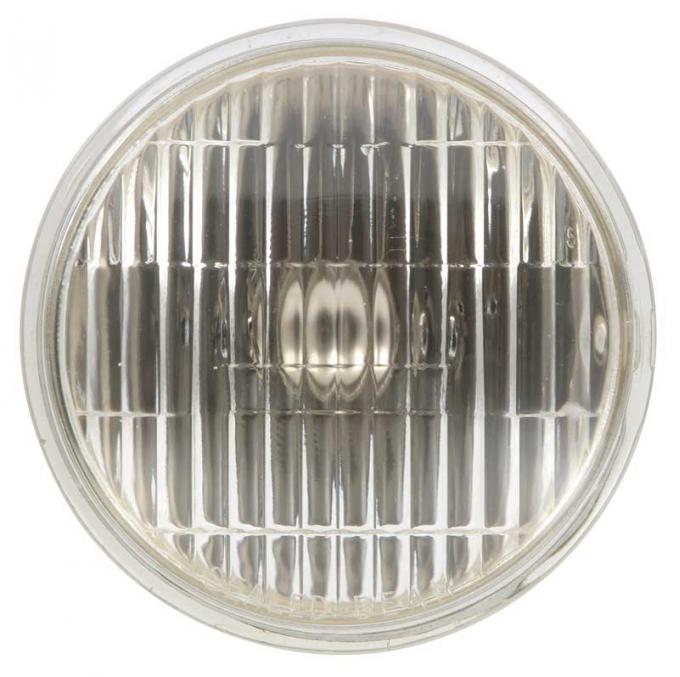 OER 1965-68 GT MUSTANG FOG LAMP BULB, clear GT6