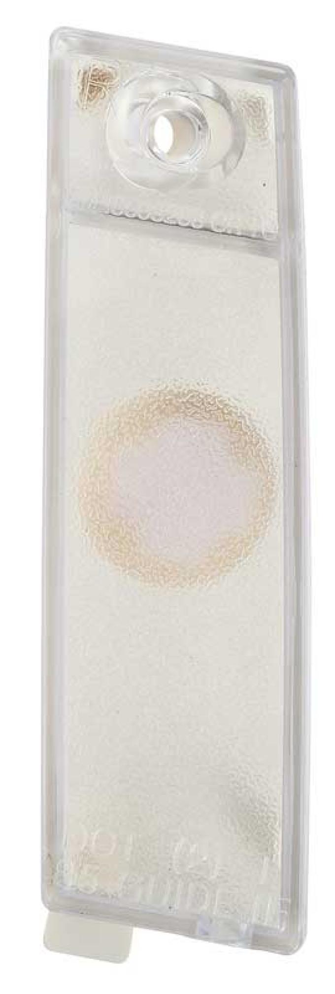 OER 1985-92 Camaro, IROC Z, Z28, RS, Rear License Lamp Lens and Housing Assembly, RH Passenger Side 920016