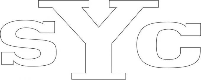 OER 1969 Yenko White SYC Headrest Decal SK302