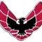 OER 1976-79 Pontiac Firebird, Roof Panel Emblem, Self Adhesive Backed, Each, GM Licensed 1735919
