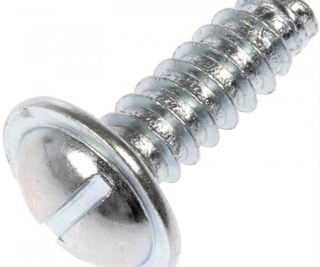 License Plate Screw, Thread Size; 1/4"(# 14) x 3/4"