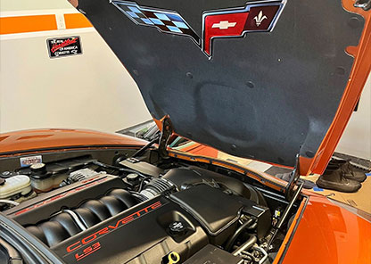 [GALLERY IMAGE ALT 3]