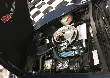 [GALLERY IMAGE ALT 1]